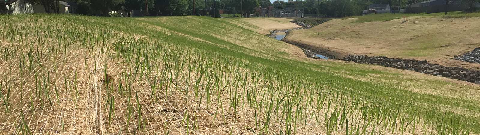 Erosion Control Blanket