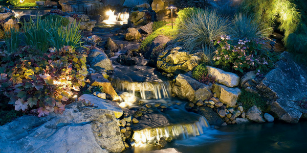 Landscape Lighting