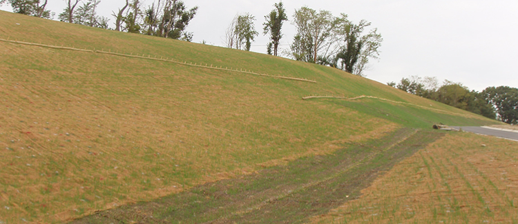 Erosion Control Blanket 